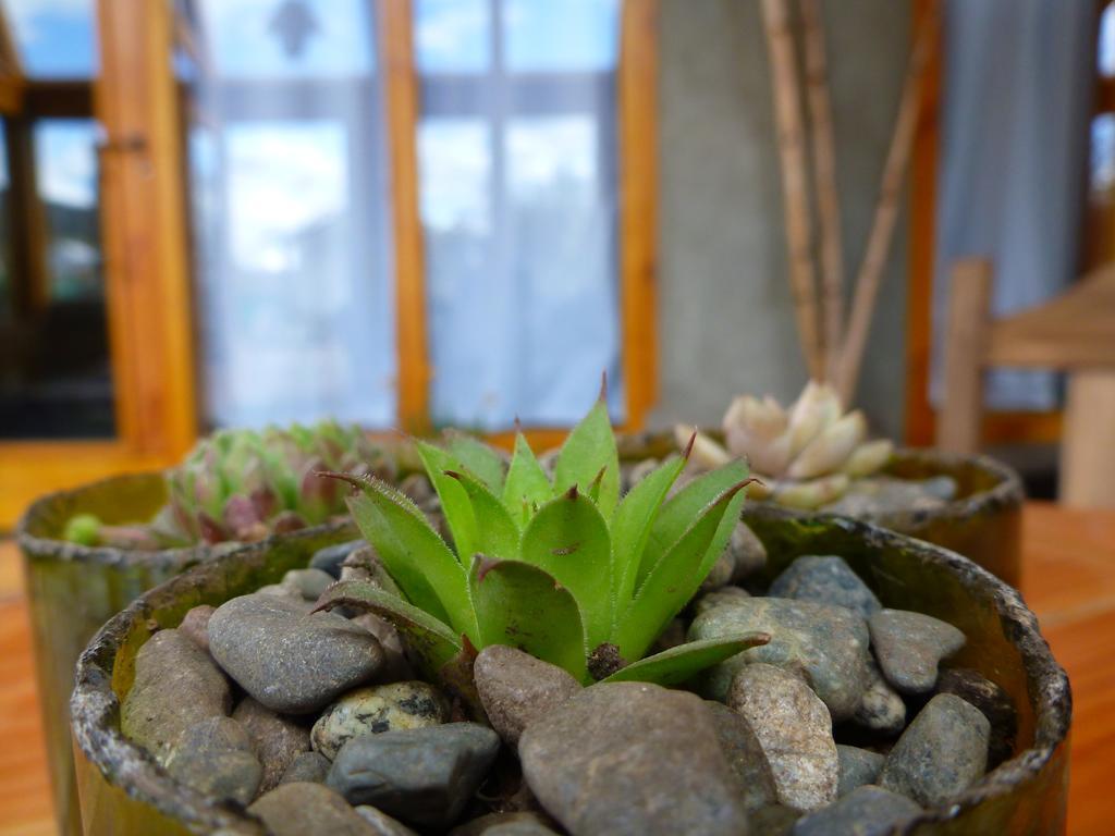 Earthship Patagonia Eco Accommodations El Bolsón Eksteriør bilde