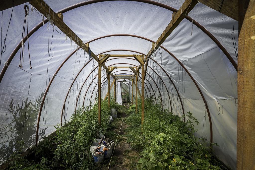 Earthship Patagonia Eco Accommodations El Bolsón Eksteriør bilde